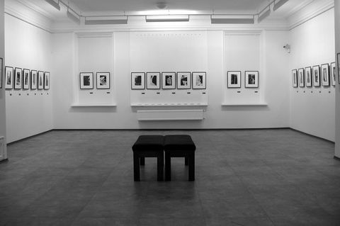 Какой уровень освещённости безопасен для картин и фотографий?